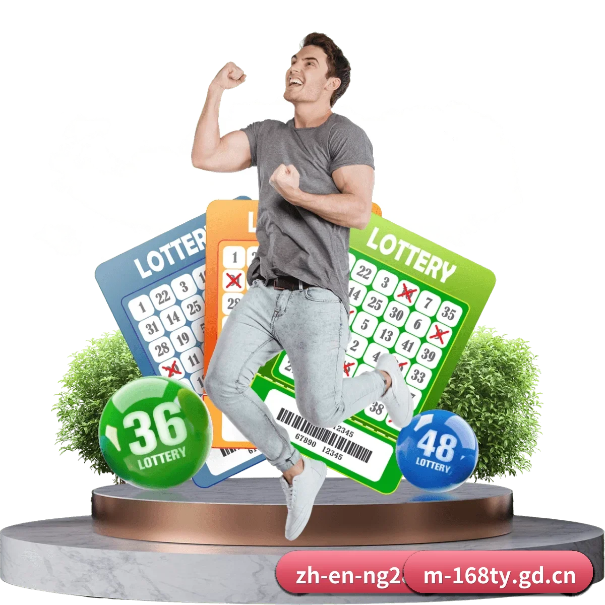 168体育APP APP 界面 | 168ty